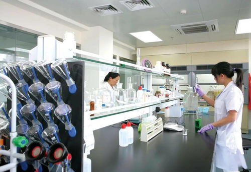 快乐童享 为孩子选择安全的进口玩具与用品的工程学视角