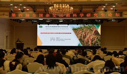 国家杂交水稻工程技术研究中心 引领全球粮食安全的科研先锋